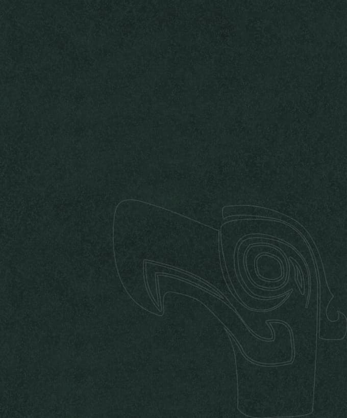 讲解推荐 background